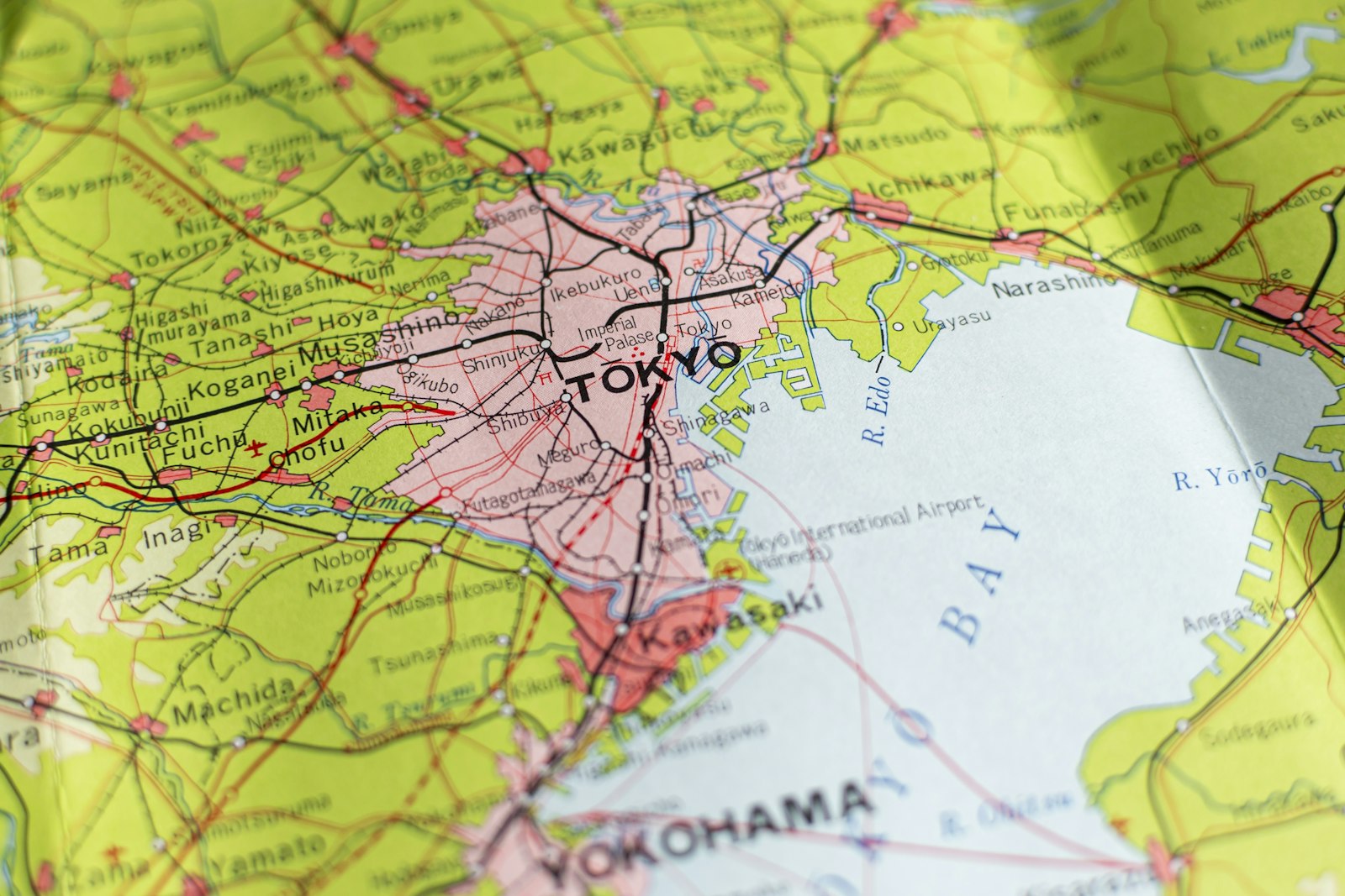 Map showing a targeted radius and location pins around a business trade area